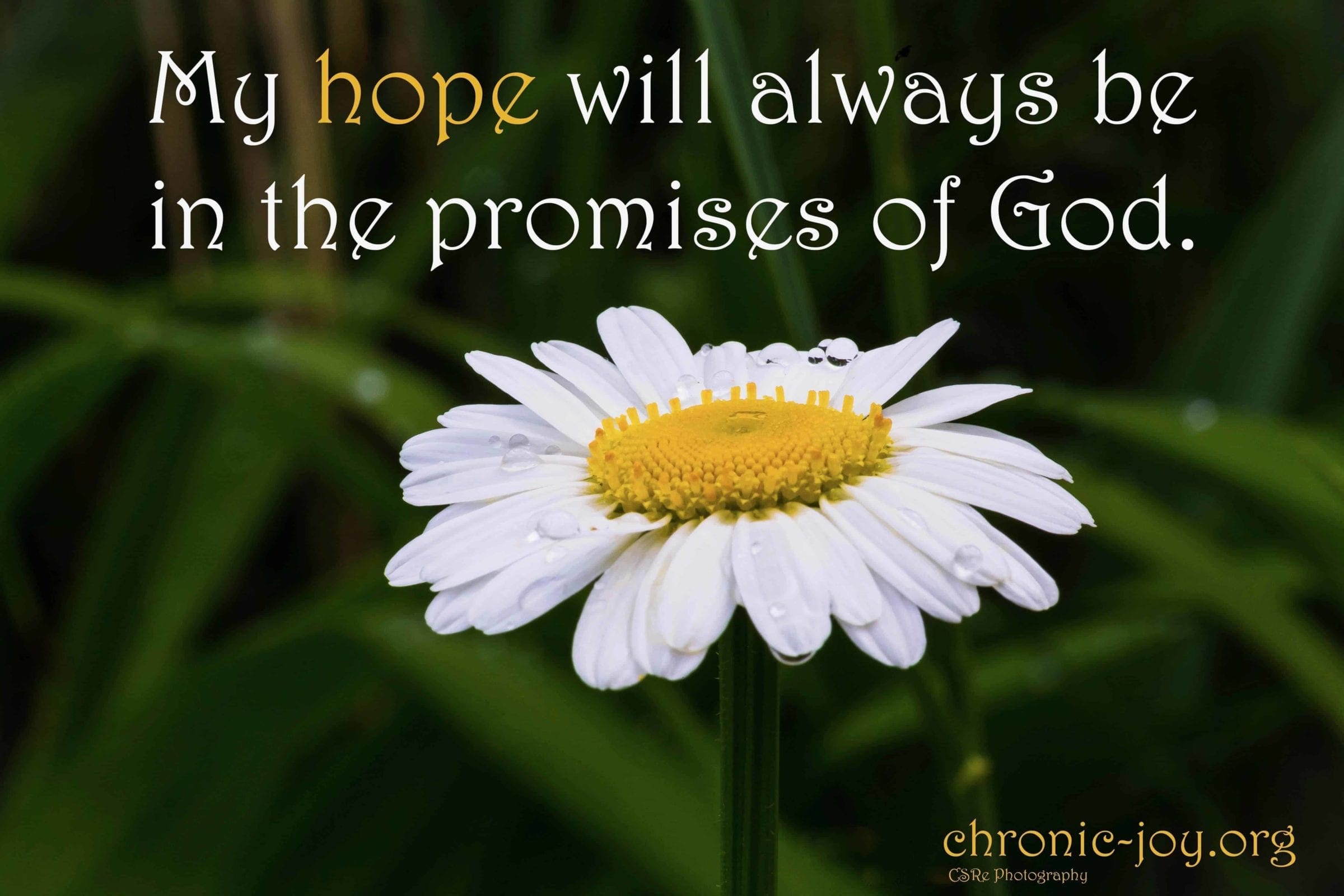 My hope will always be in the promises of God.