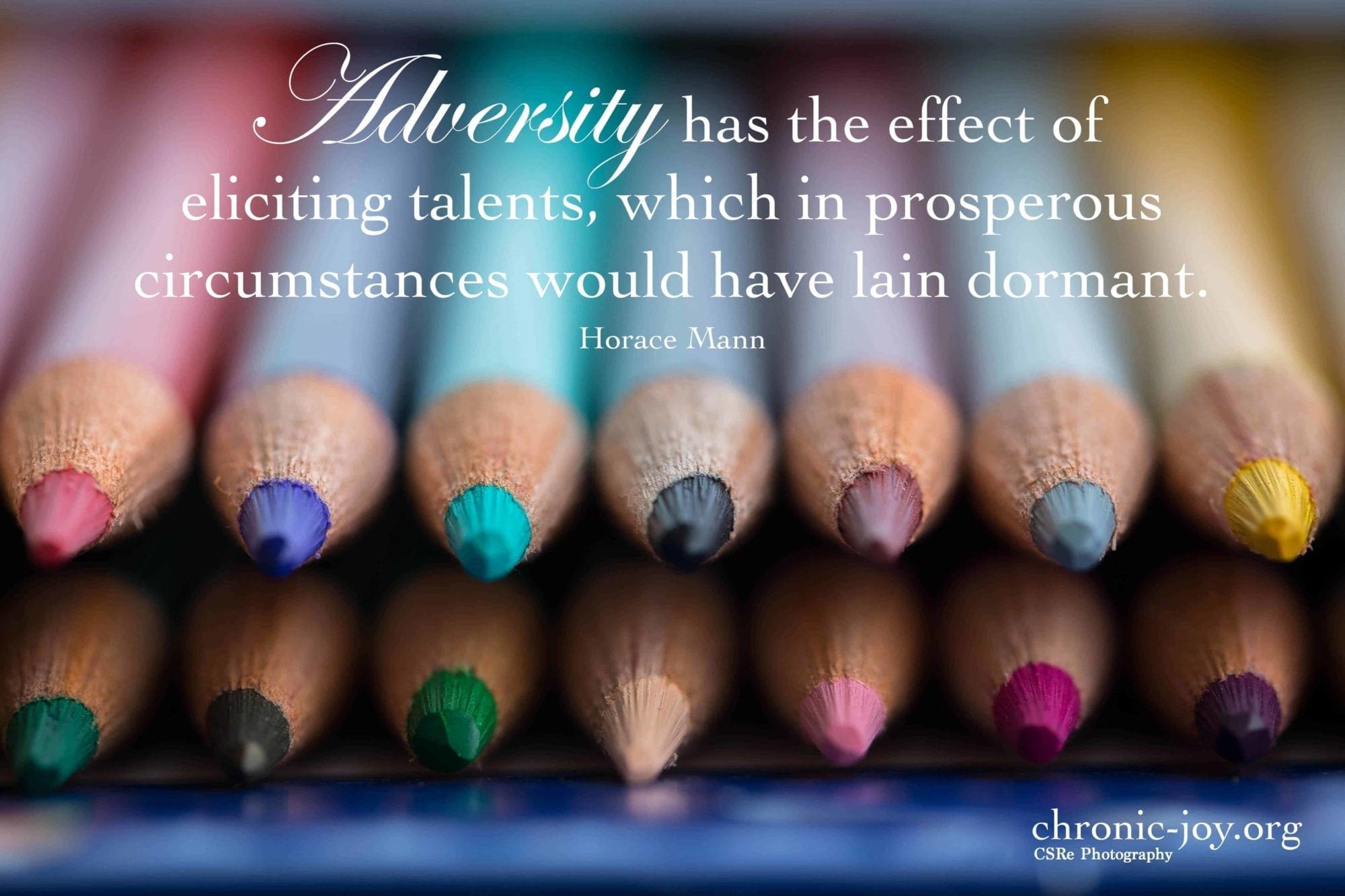 “Adversity has the effect of eliciting talents, which in prosperous circumstances would have lain dormant.” Horace Mann