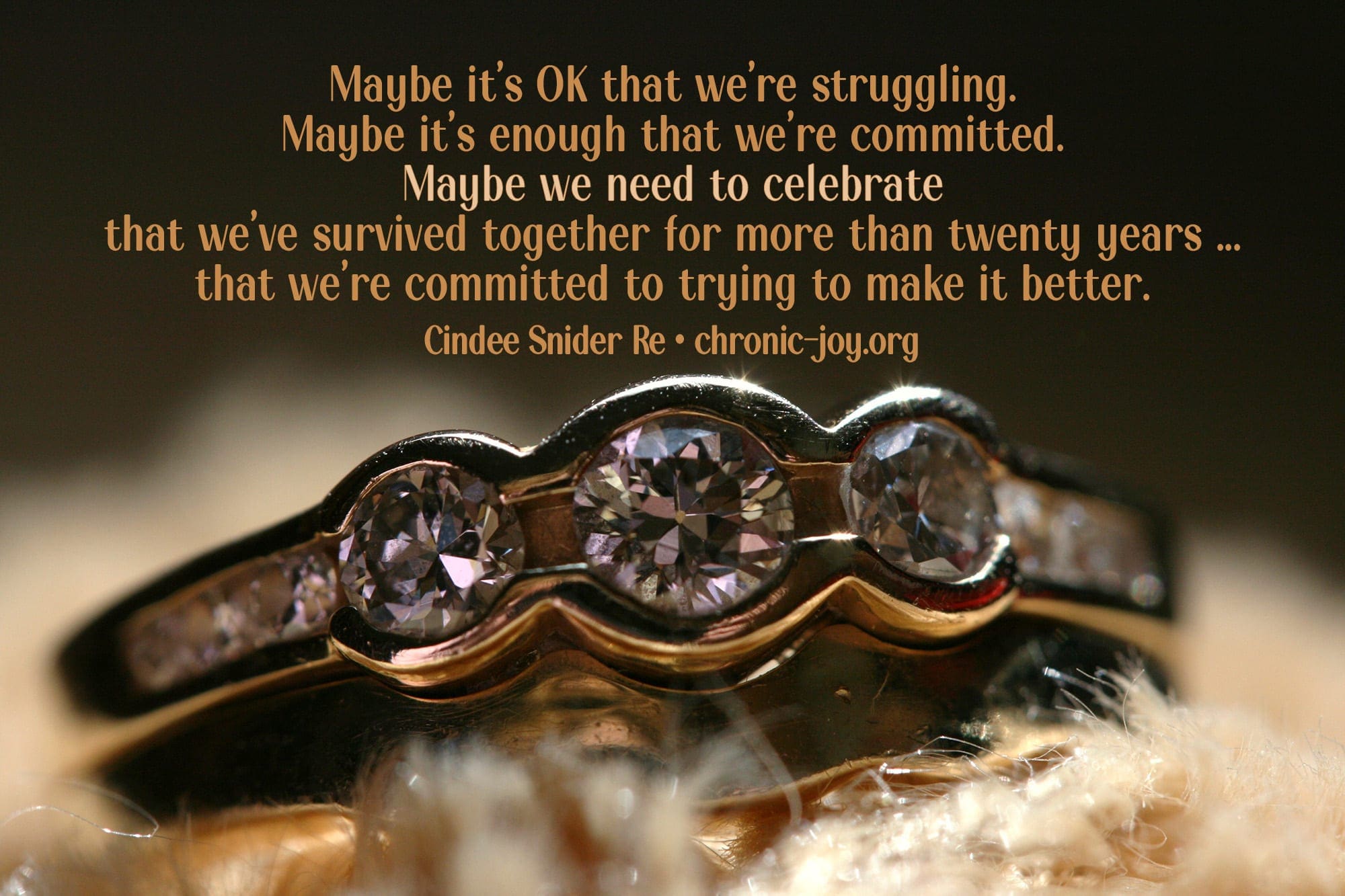 "Maybe it's OK that we're struggling. Maybe it's enough that we're committed. Maybe we need to celebrate that we've survived together for more than twenty years ... that we're committed to trying to make it better. " Cindee Snider Re