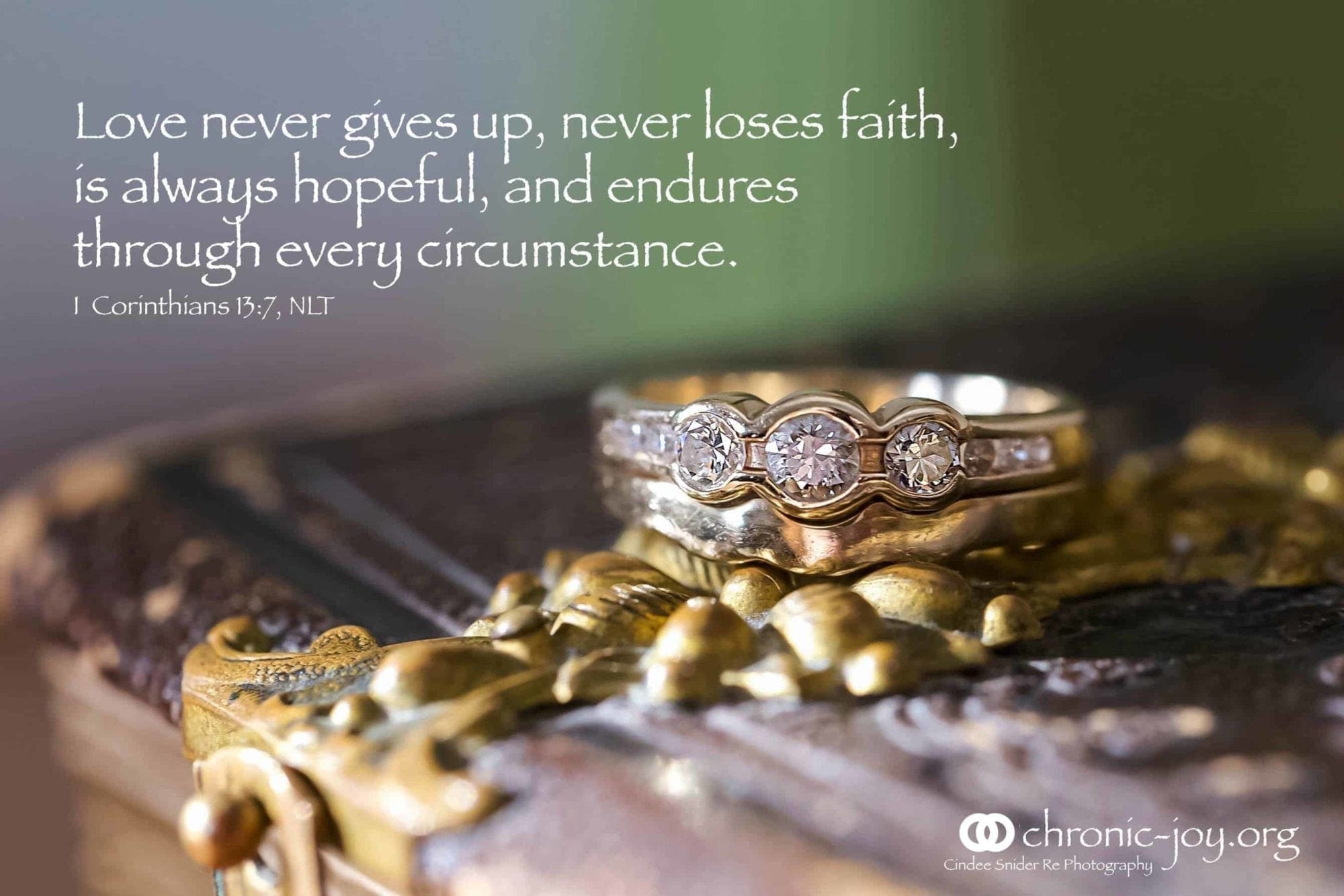 Love never gives up, never loses faith, is always hopeful, and endures through every circumstance. 1 Corinthians 13:7 NLT