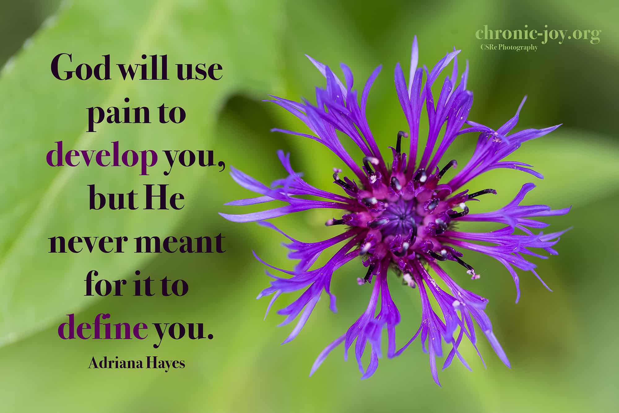 "God will use pain to develop you, but He never meant for it to define you." Adriana Hayes