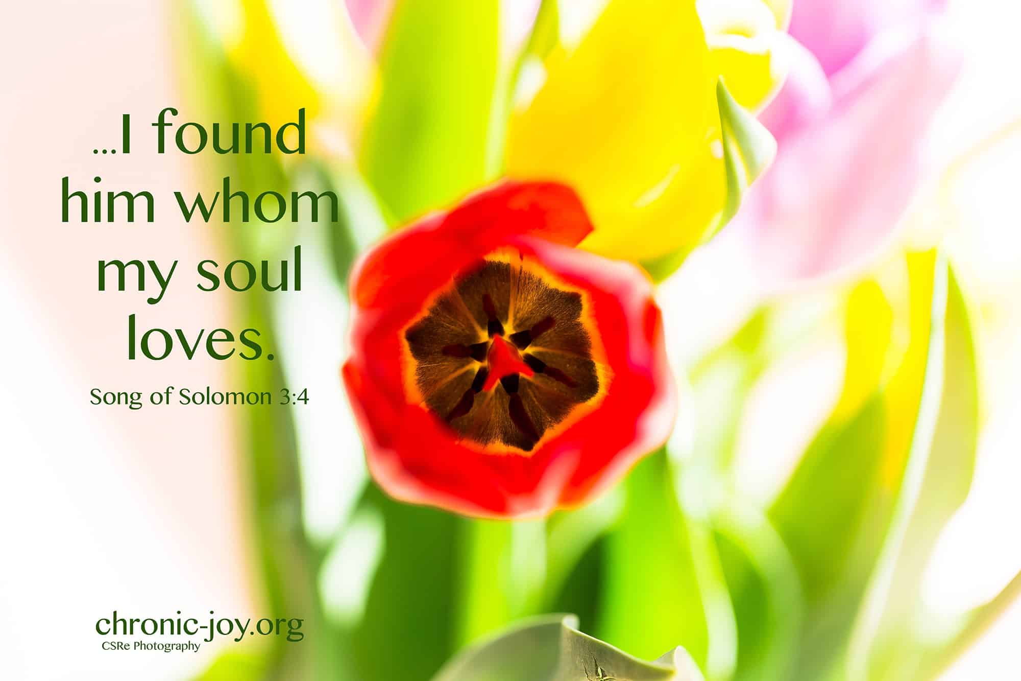 ...I found whom my soul loves. Song of Solomon 3:4