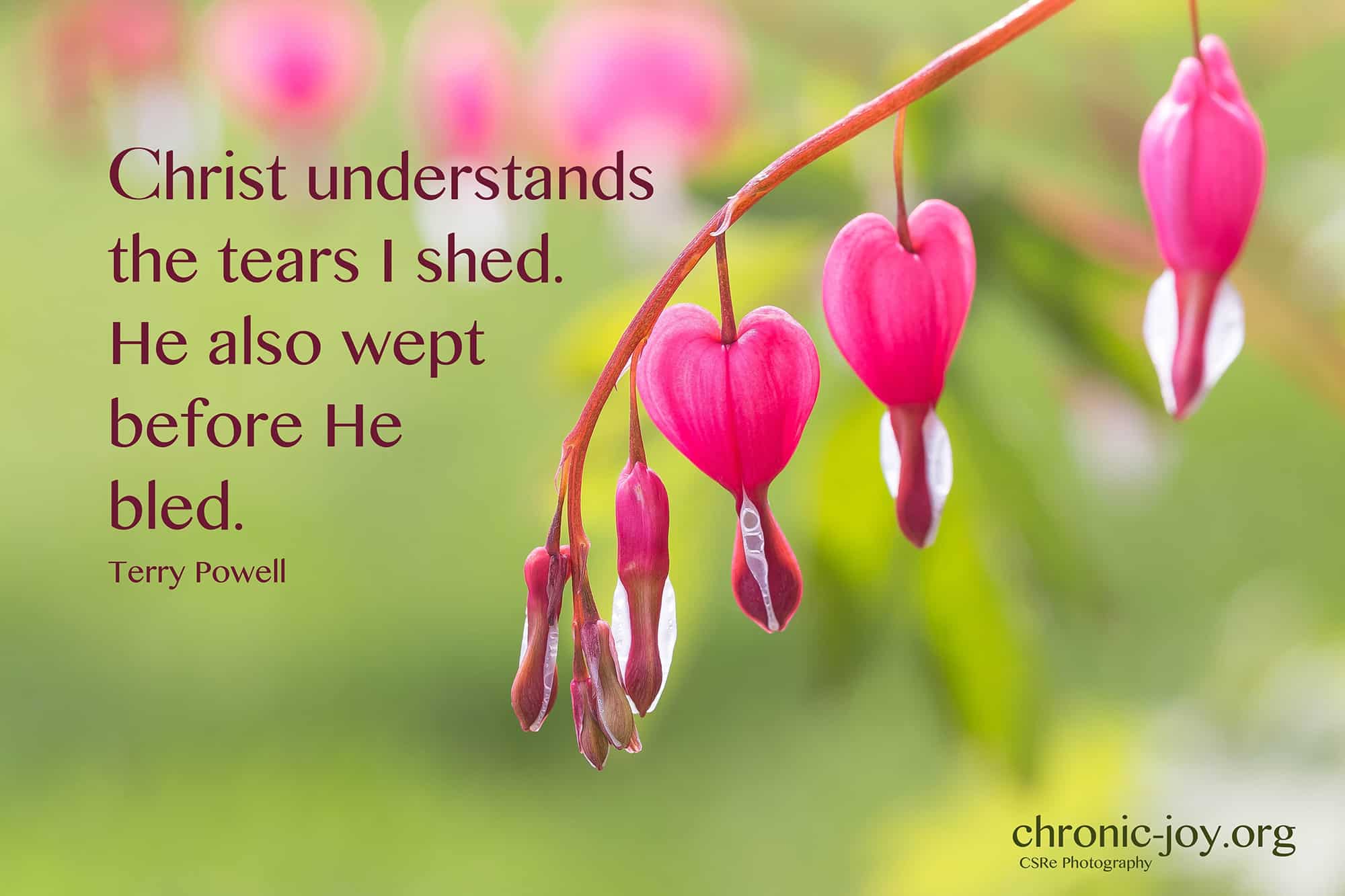 Christ understands