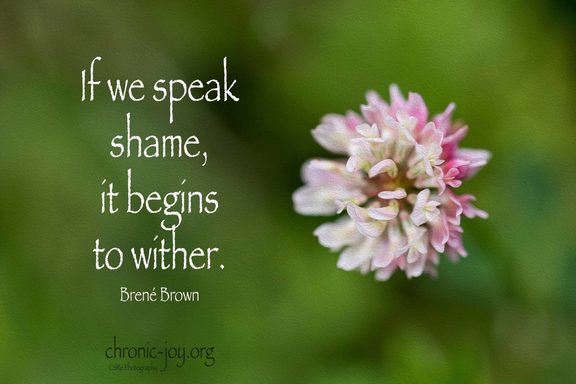 If we speak shame, it begins to wither. ~ Brené Brown