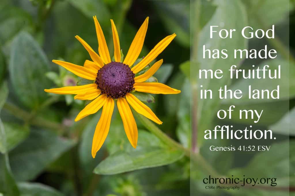 For God has made me fruitful in the land of my affliction.