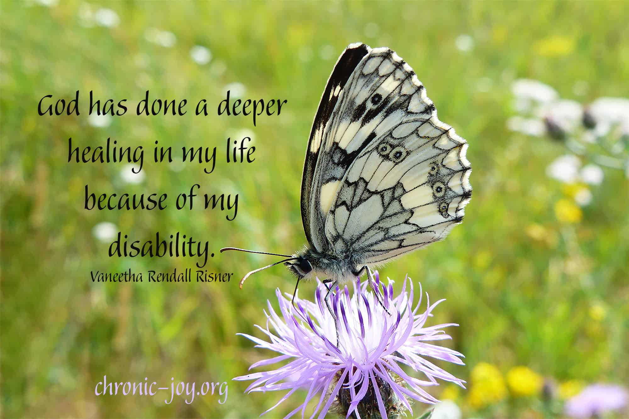 God has done a deeper healing in my life because of my disability. ~ Vaneetha Rendall Risner