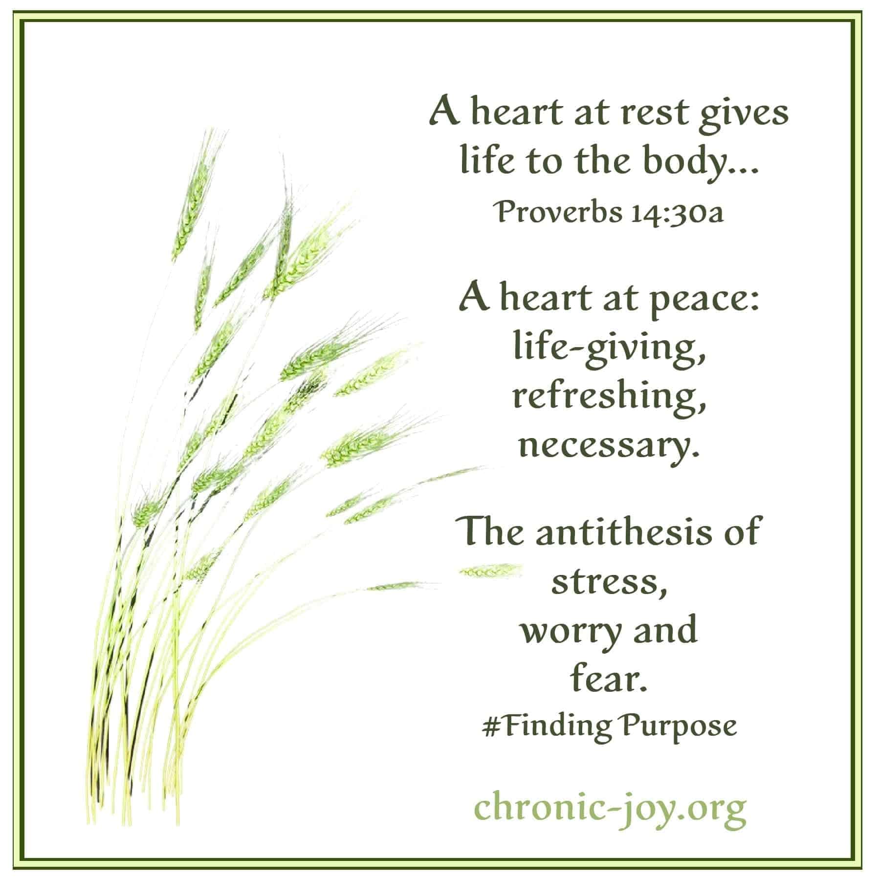 A heart at rest gives life to a body...