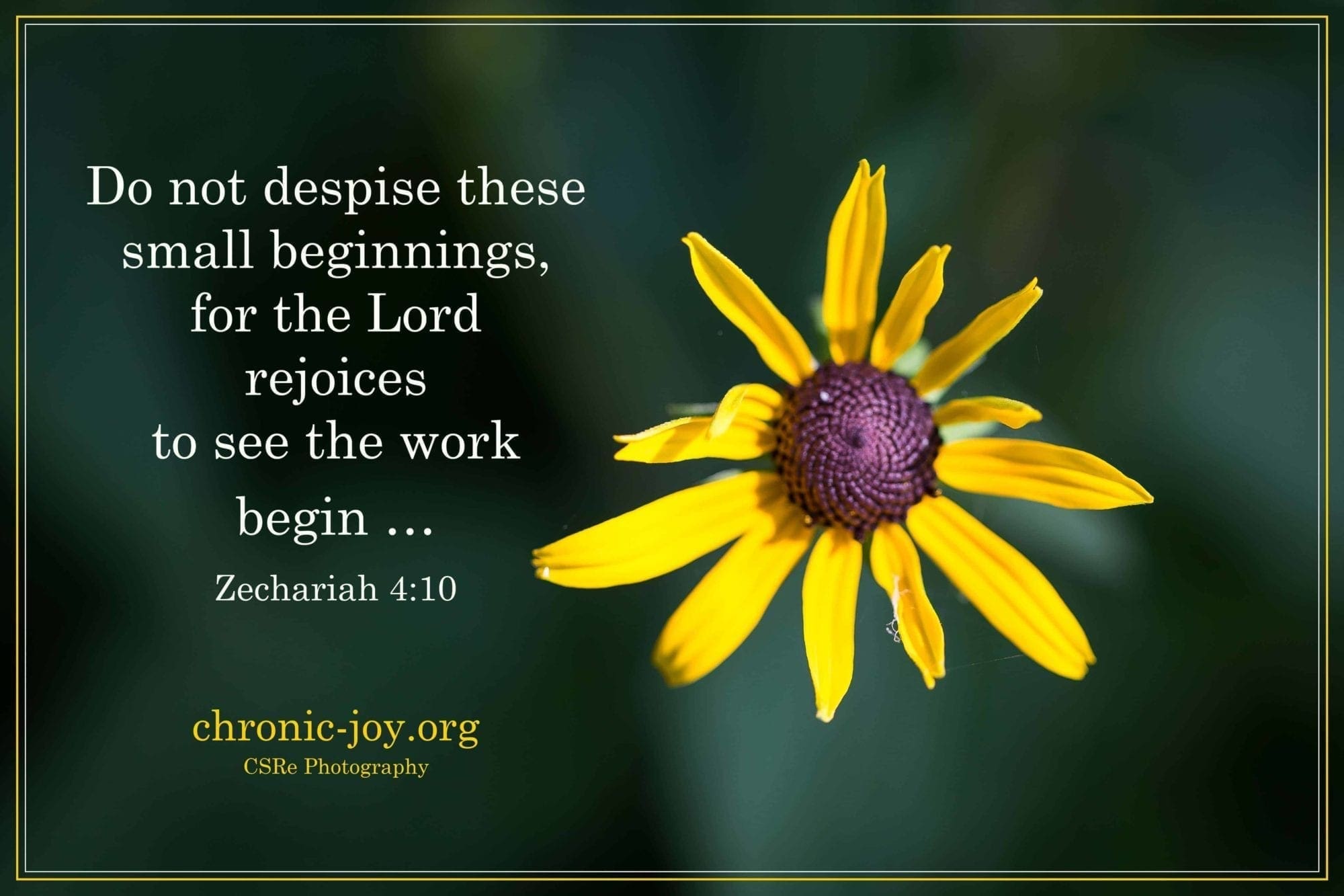 Do not despise small beginnings...