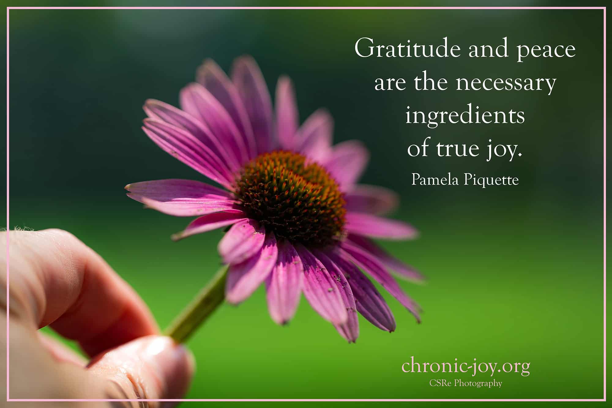 Gratitude and Peace