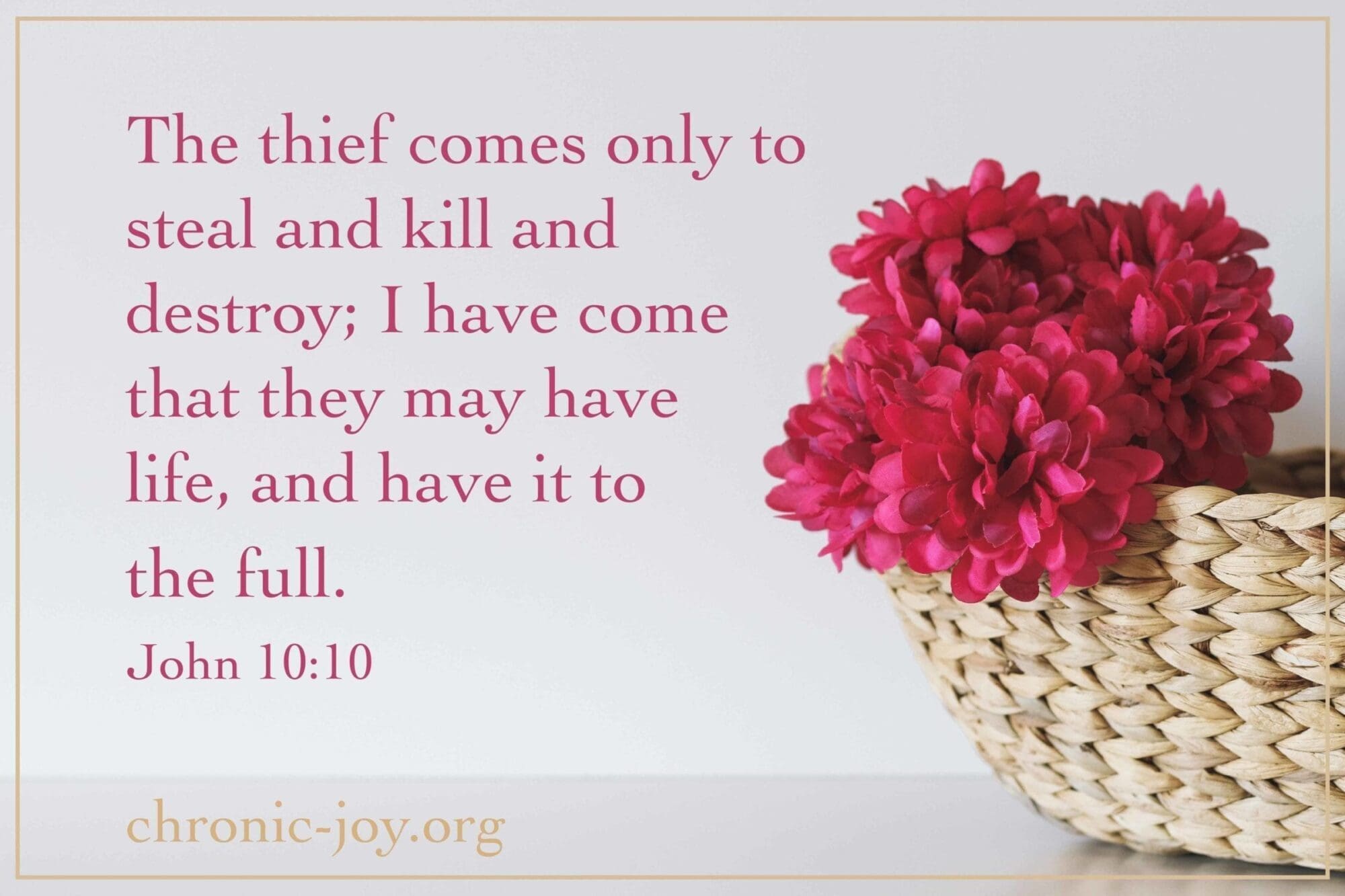 The thief comes only to steal and kill and destroy; I have come that they may have life, and have it to the full. (John 10:10)