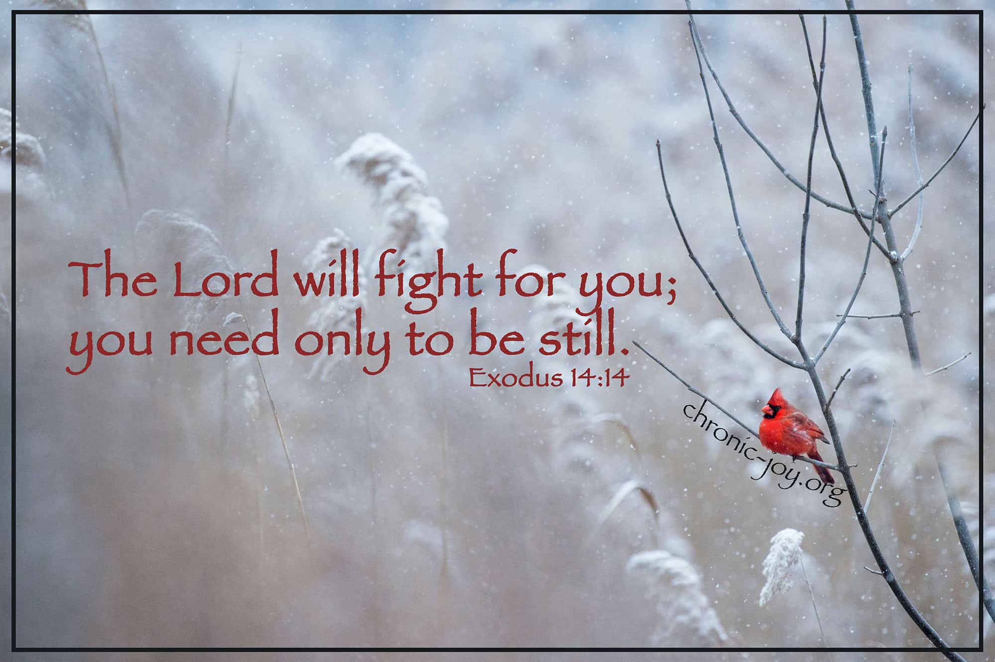 The Lord will fight for you; you only need to be still.