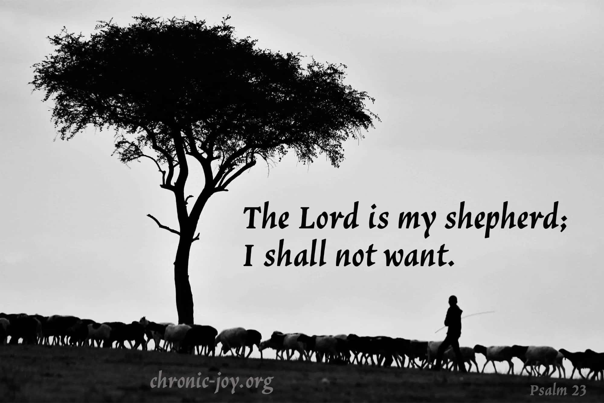 The Lord is my Shepherd; I shall not want. Psalm 23