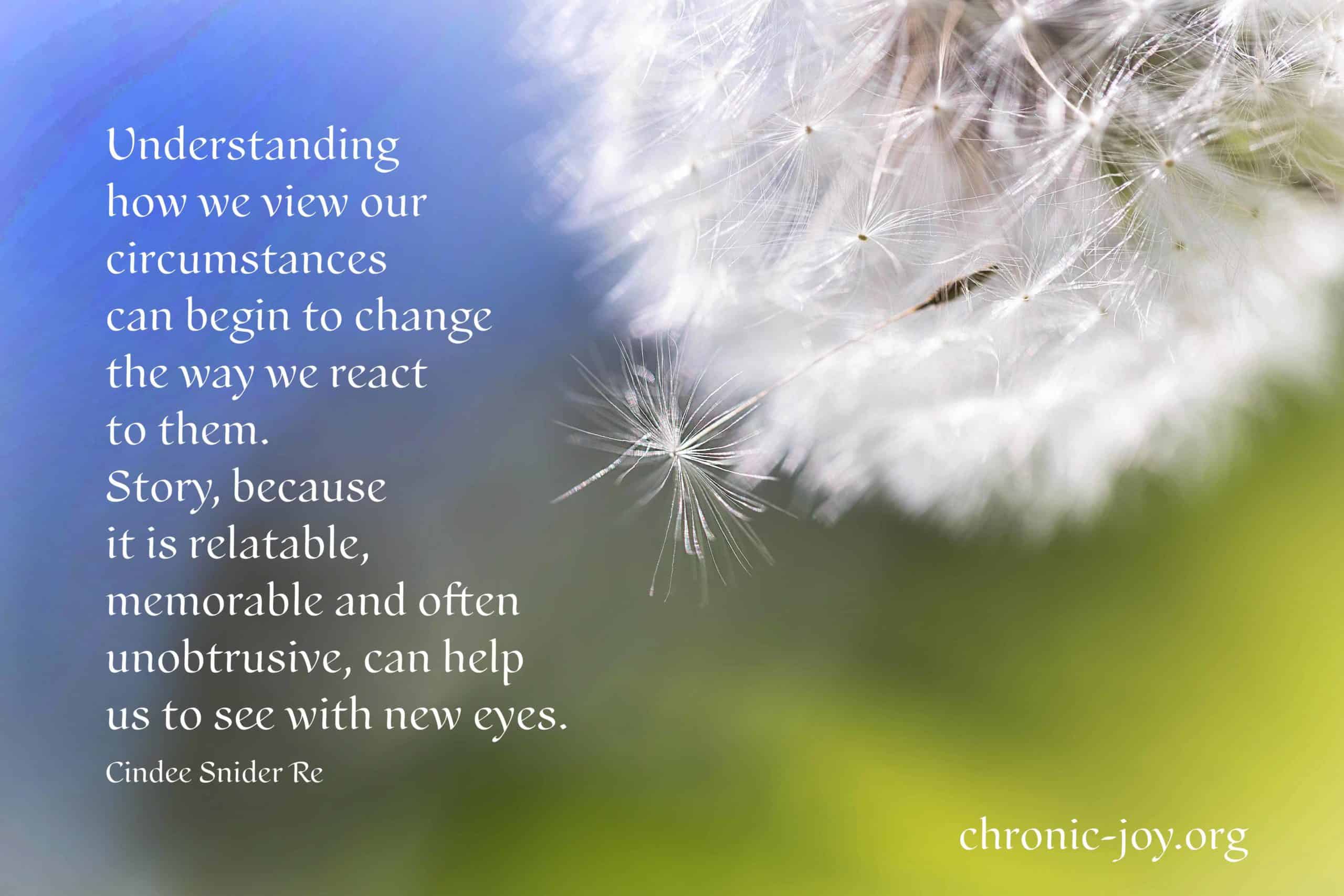 "Understanding how we view our circumstances can begin to change the way we react to them. Story, because it is relatable, memorable and often unobtrusive, can help us to see with new eyes." Cindee Snider Re