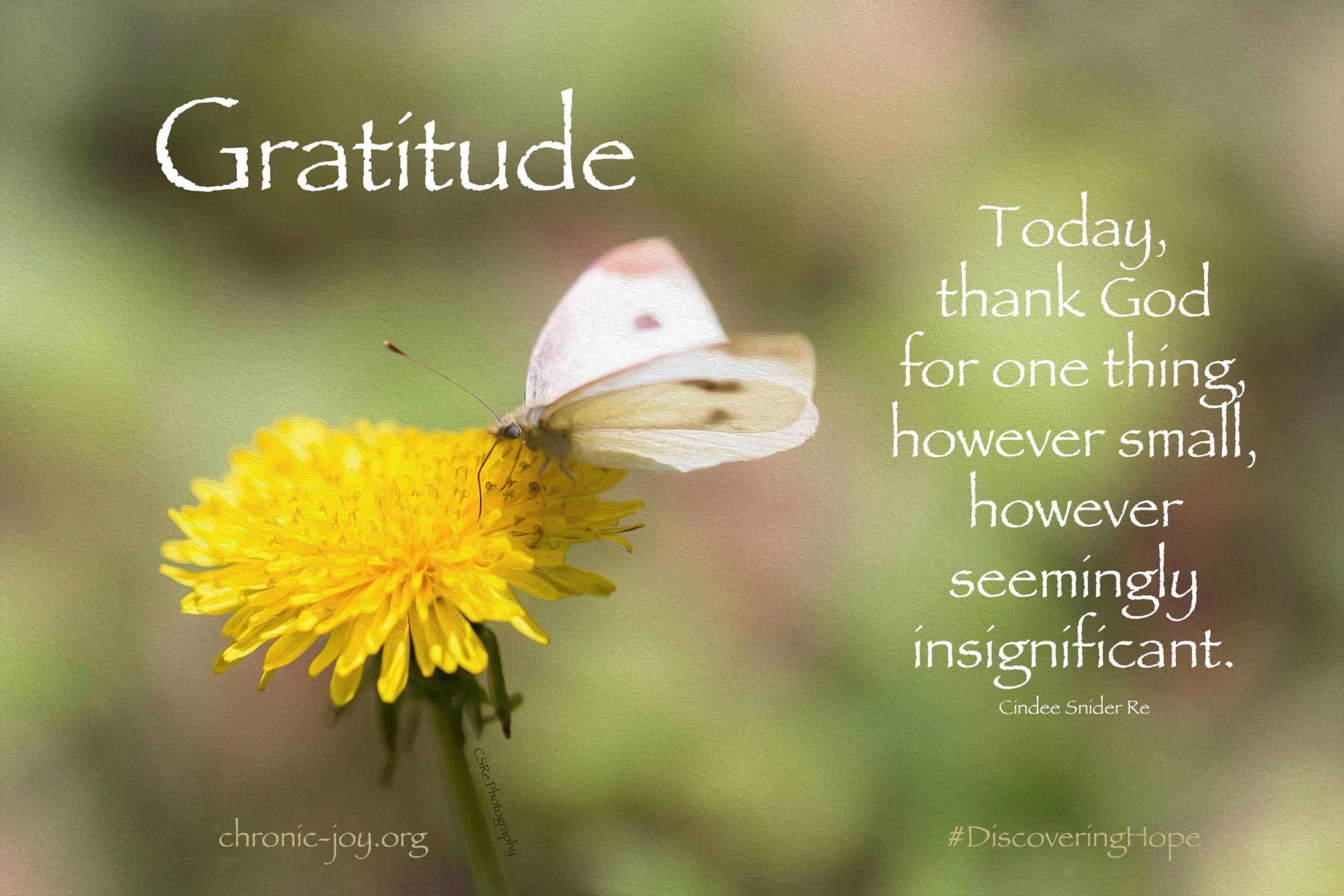 Gratitude • Today, thank God for one thing, however small, however seemingly insignificant.