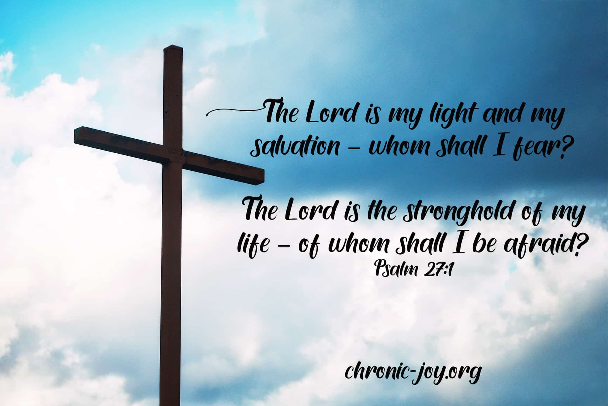 Of David. The LORD is my light and my salvation-- whom shall I fear? The LORD is the stronghold of my life-- of whom shall I be afraid? Psalm 27:1