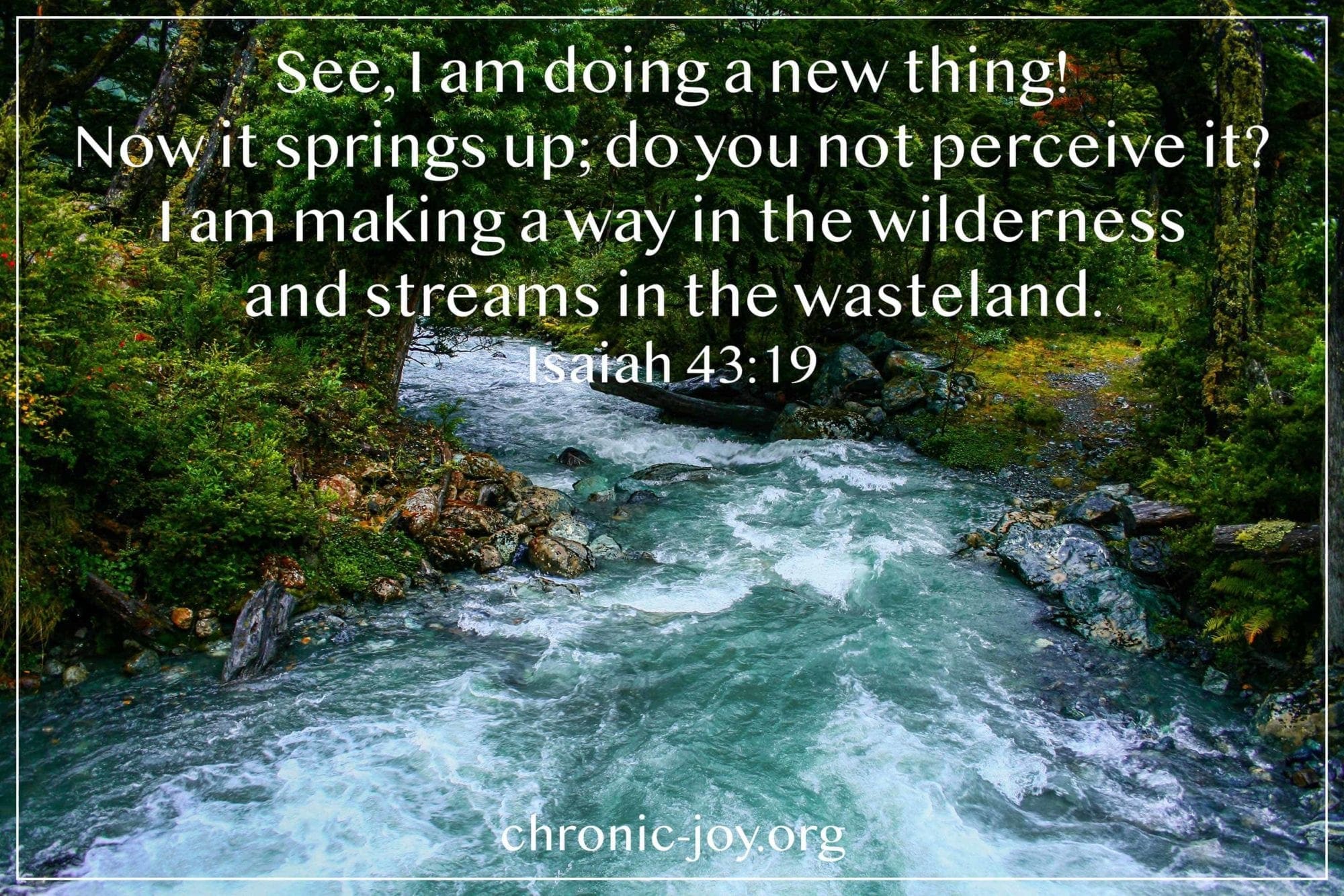 See, I am doing a new thing! Now it springs up, do you not perceive it? I am making a way in the wilderness and streams in the wasteland. (Isaiah 43:19)