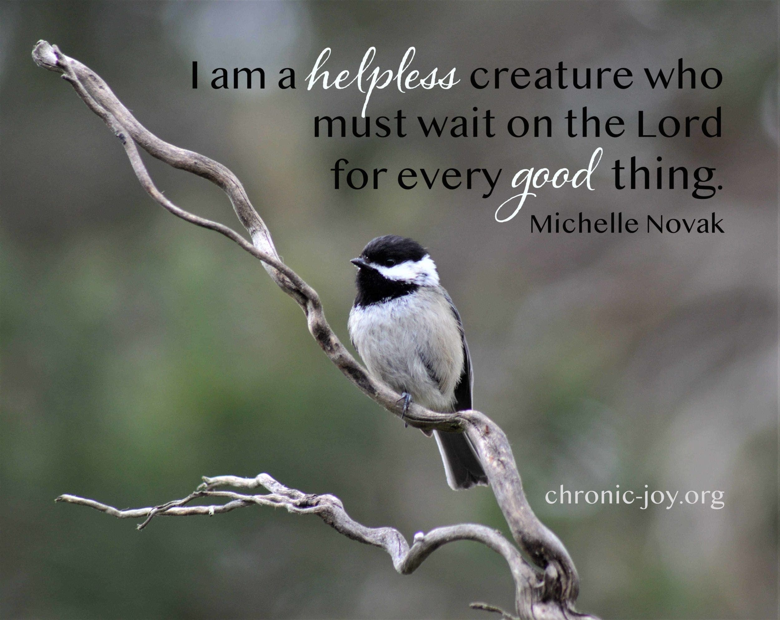 I am a helpless creature who must wait on the Lord for every good thing. Michelle Novak