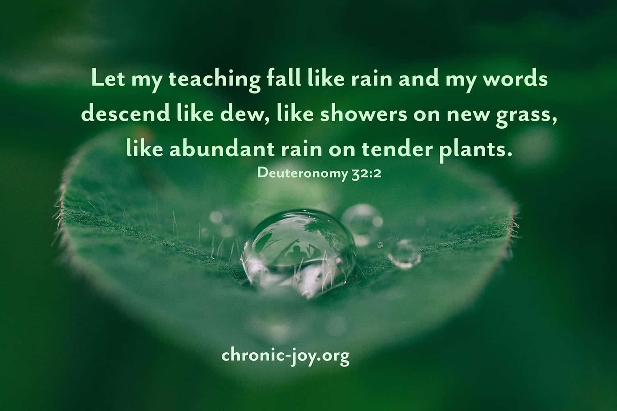 Listening to the Falling Rain • Prayer Prompt