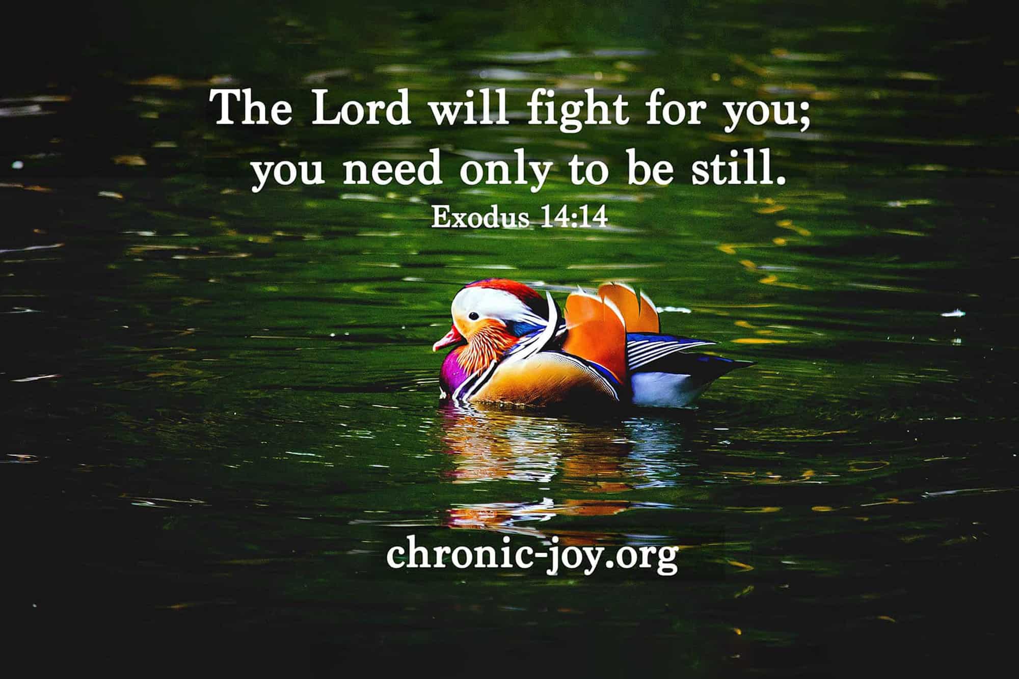 The Lord Will Fight for You • Prayer Prompt