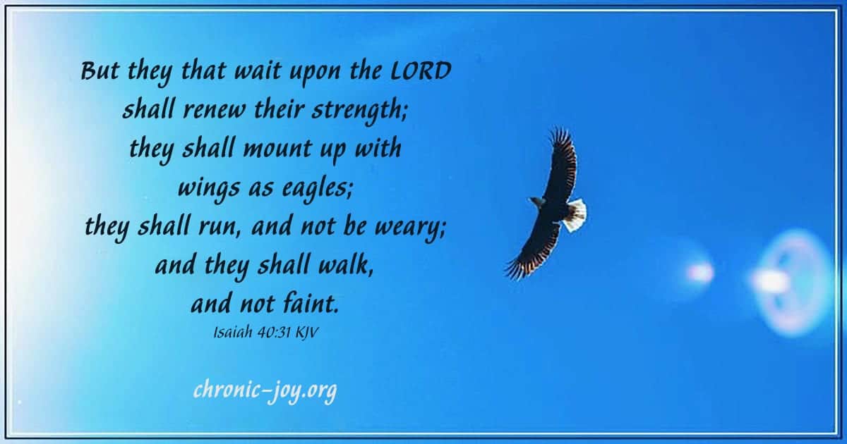 But they that wait upon the LORD shall renew their strength; 