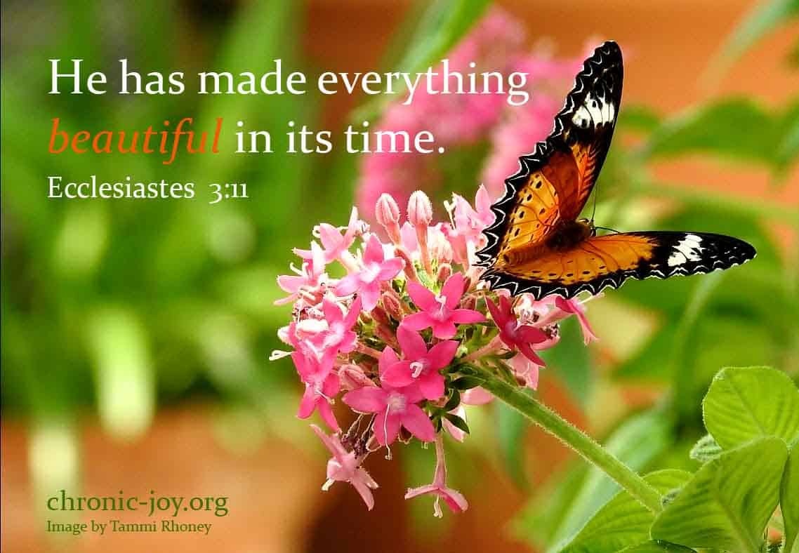 He has made everything beautiful in its time. (Ecclesiastes 3:11)