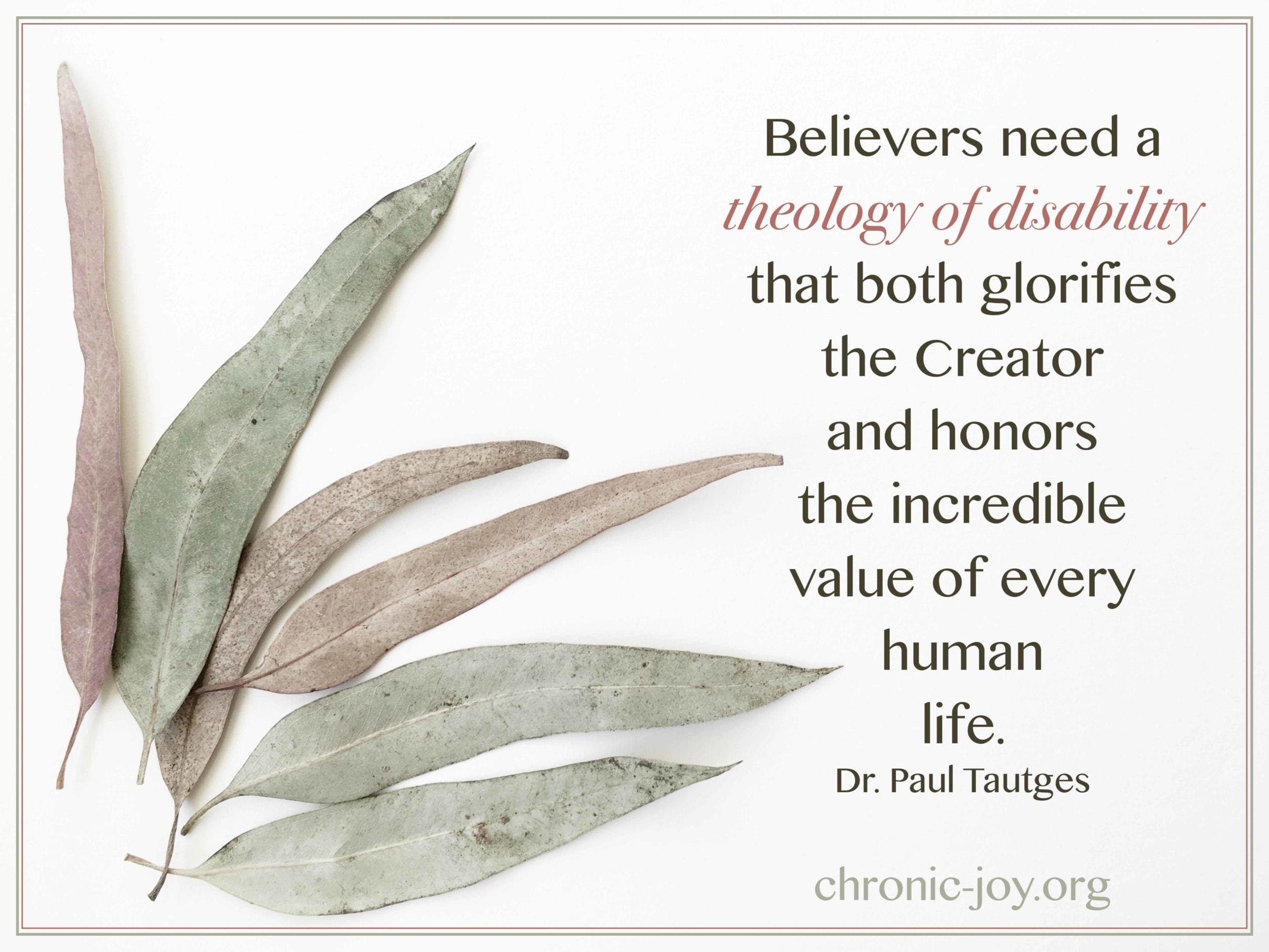 "Believers need a theology of disability that both glorifies the Creator and honors the incredible value of every human life." Dr. Paul Tautges