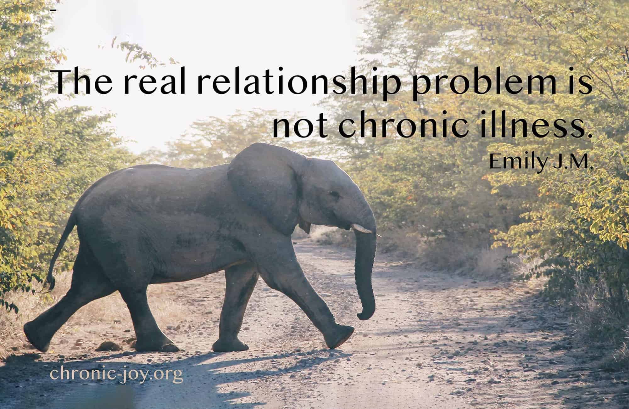 "The real relationship problem is not chronic illness." Emily J.M.