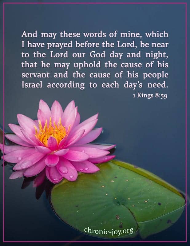 And may these words of mine, which I have prayed before the Lord, be near to the Lord our God day and night, that he may uphold the cause of his servant and the cause of his people Israel according to each day’s need. (1 Kings 8:59)