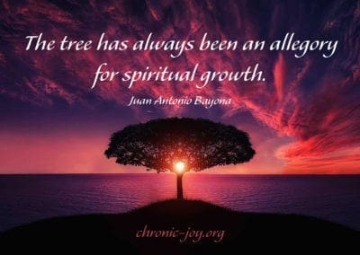 "The tree has always been an allegory for spiritual growth." Juan Antonio Bayona