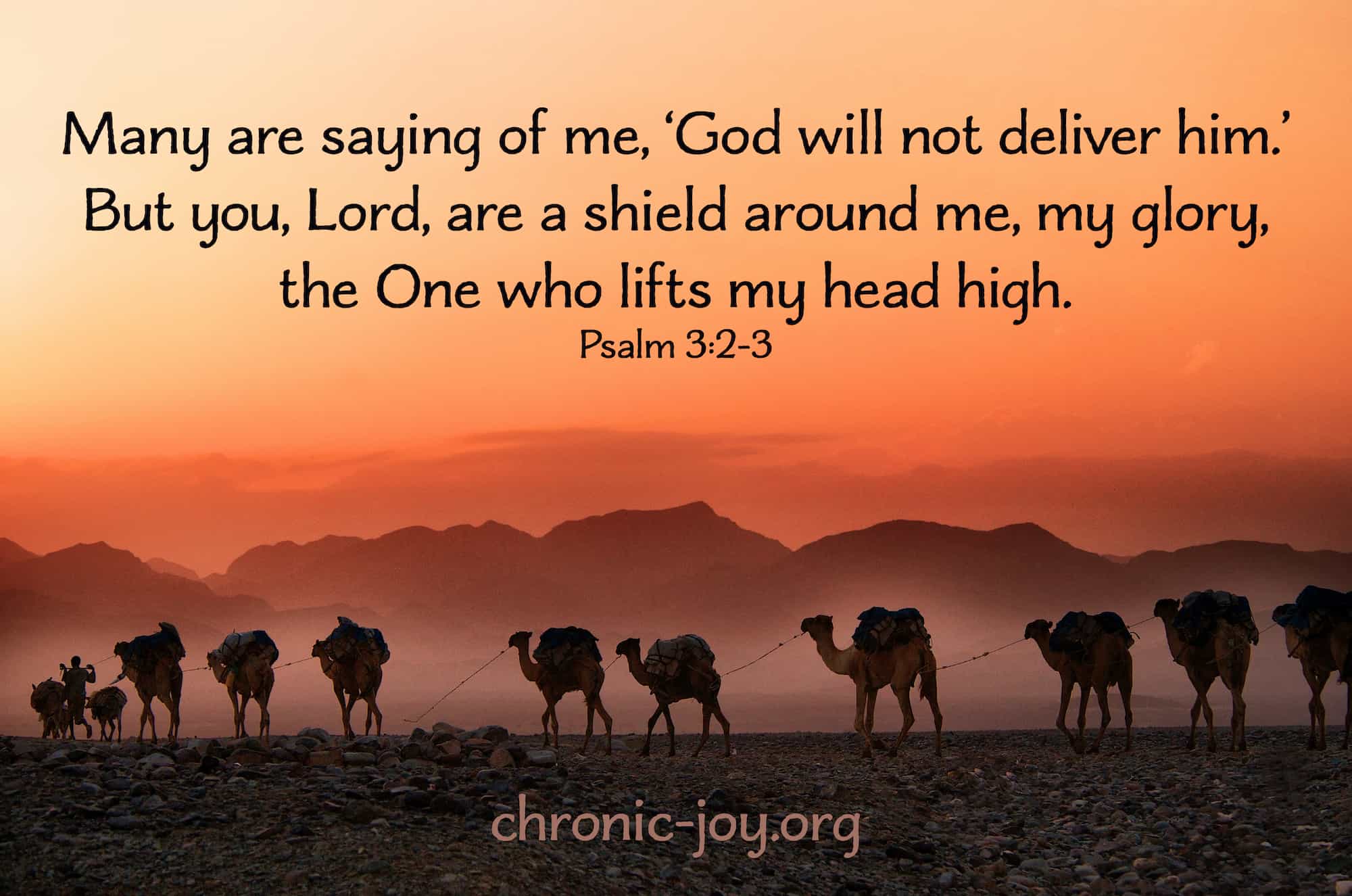Lord, you are my shield