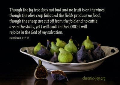 The fig tree does not bud...