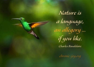 "Nature is a language, an allegory... if you like." Charles Baudelaire