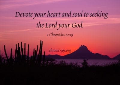 Devote your heart and soul to seeking the Lord your God. (1 Chronicles 22:19)