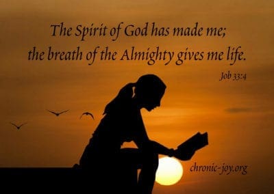 The Spirit of God has made me; the breath of the Almighty gives me life. (Job 33:4)