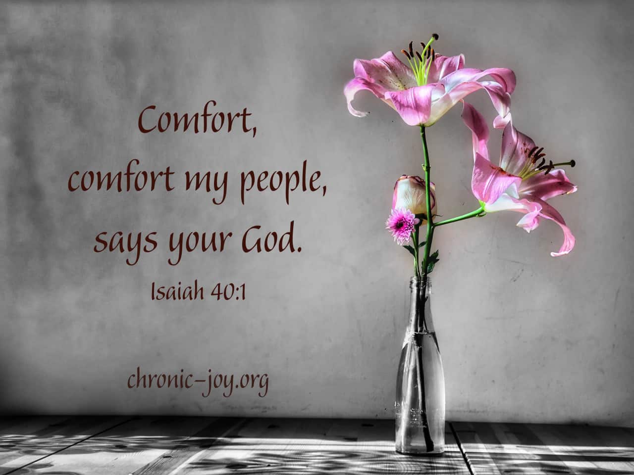 Comfort, comfort my people, says your God.