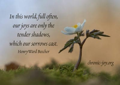 "In this world, full often, our joy are only the tender shadows, which our sorrows cast." Henry Ward Beecher