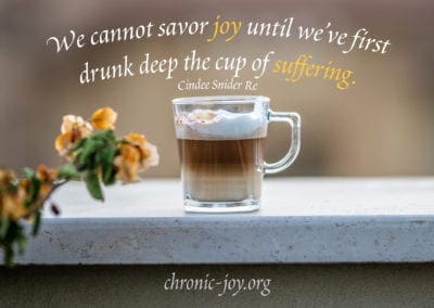 "We cannot savor joy until we've first drunk deep the cup of suffering." Cindee Snider Re