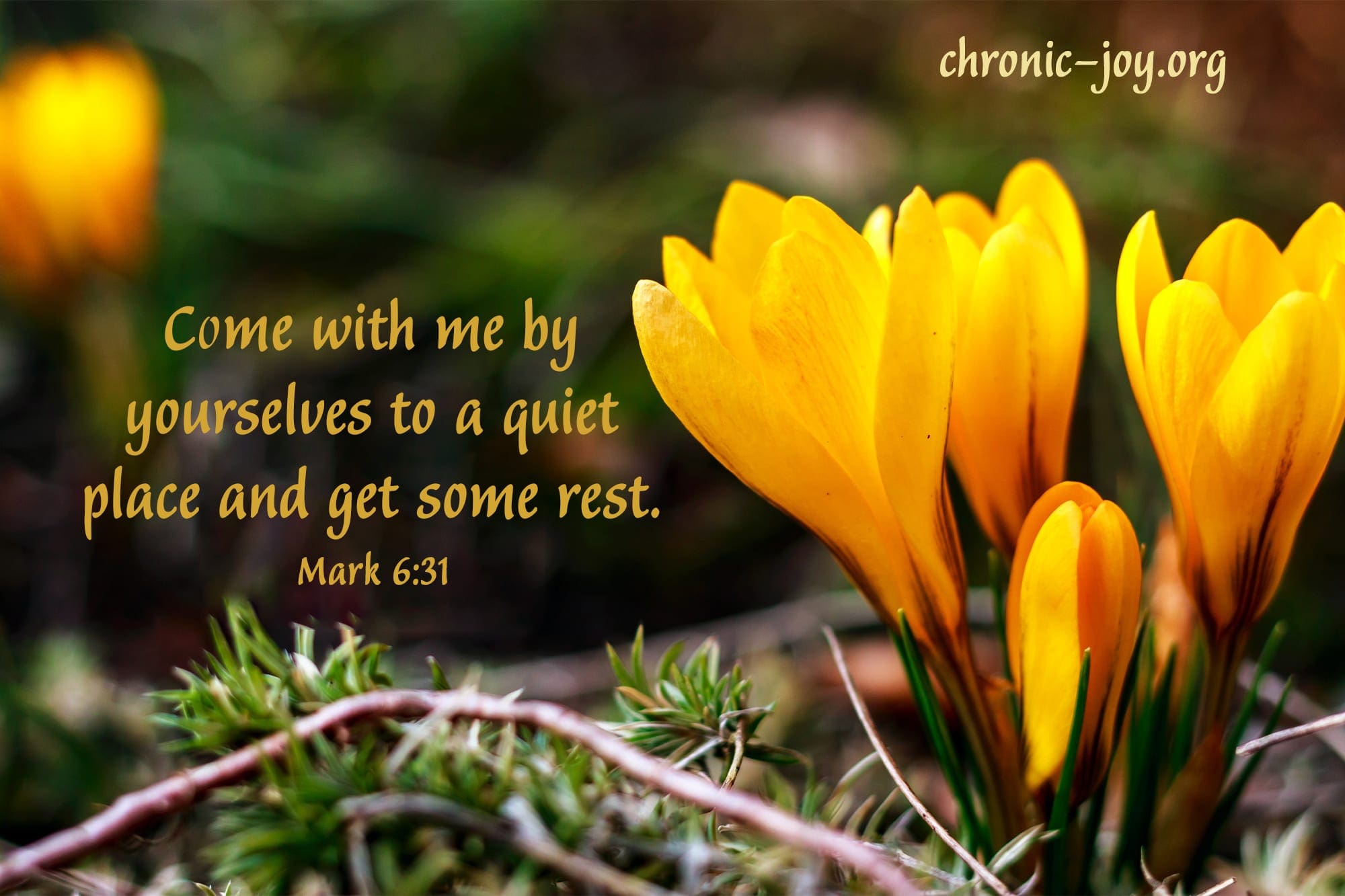 Come with me by yourselves to a quiet place and get some rest. Mark 6:31