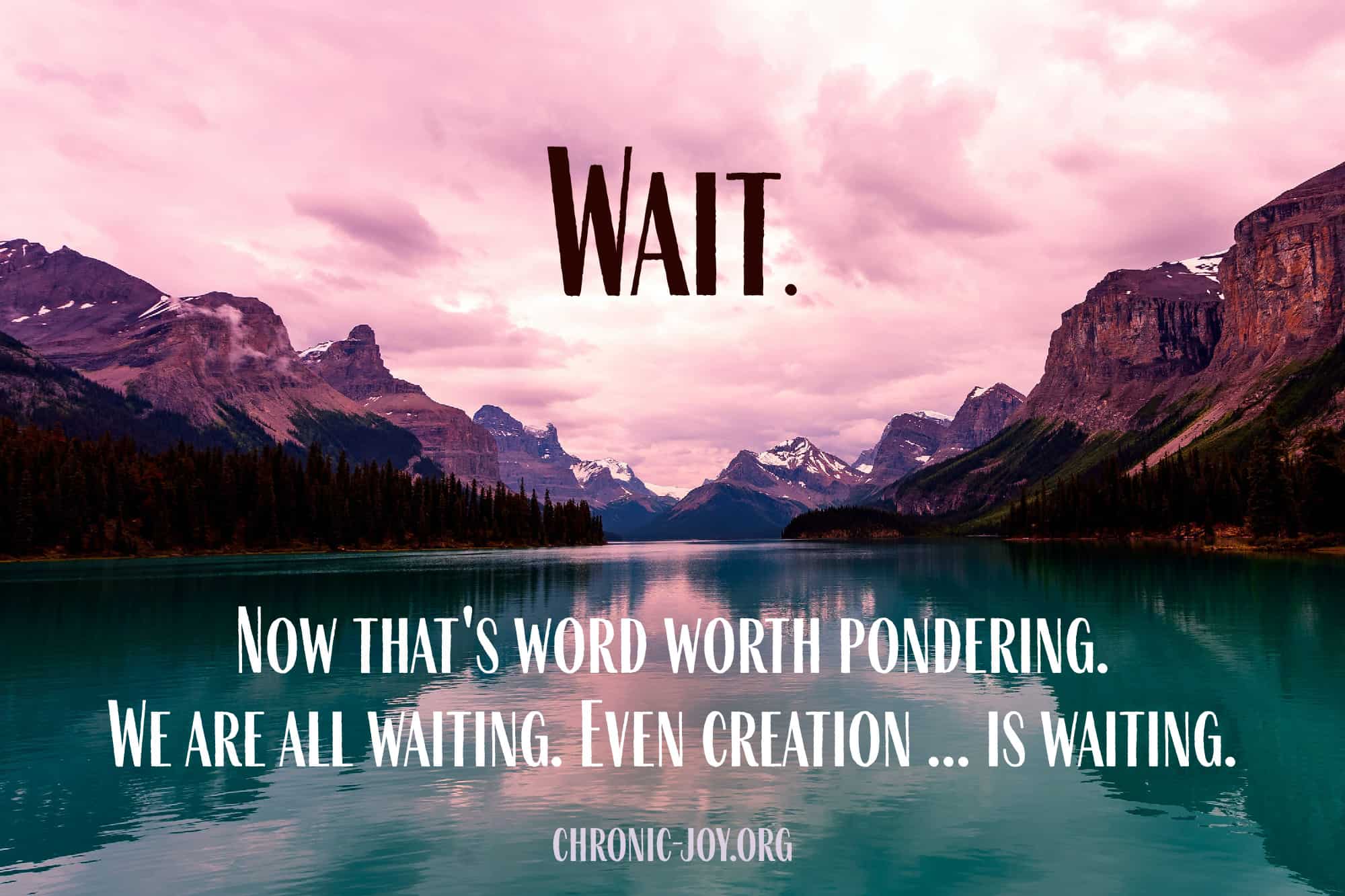 Wait. Now that's a word worth pondering. We are all waiting. Even creation ... is waiting." Karin Fendick