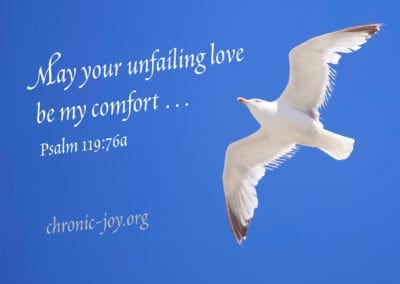 May your unfailing love be my comfort … (Psalm 119:76a)