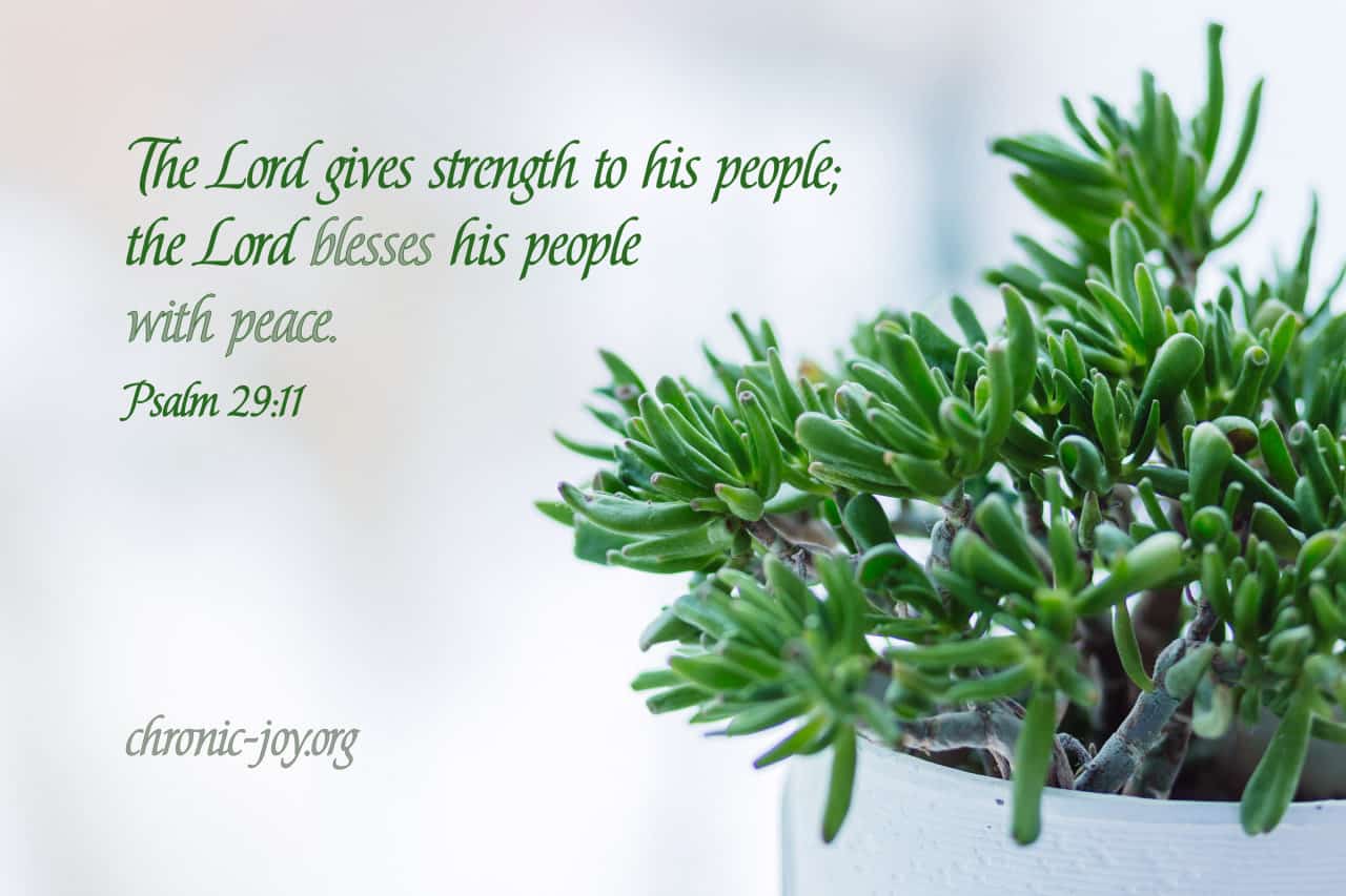The Lord gives strength to his people...
