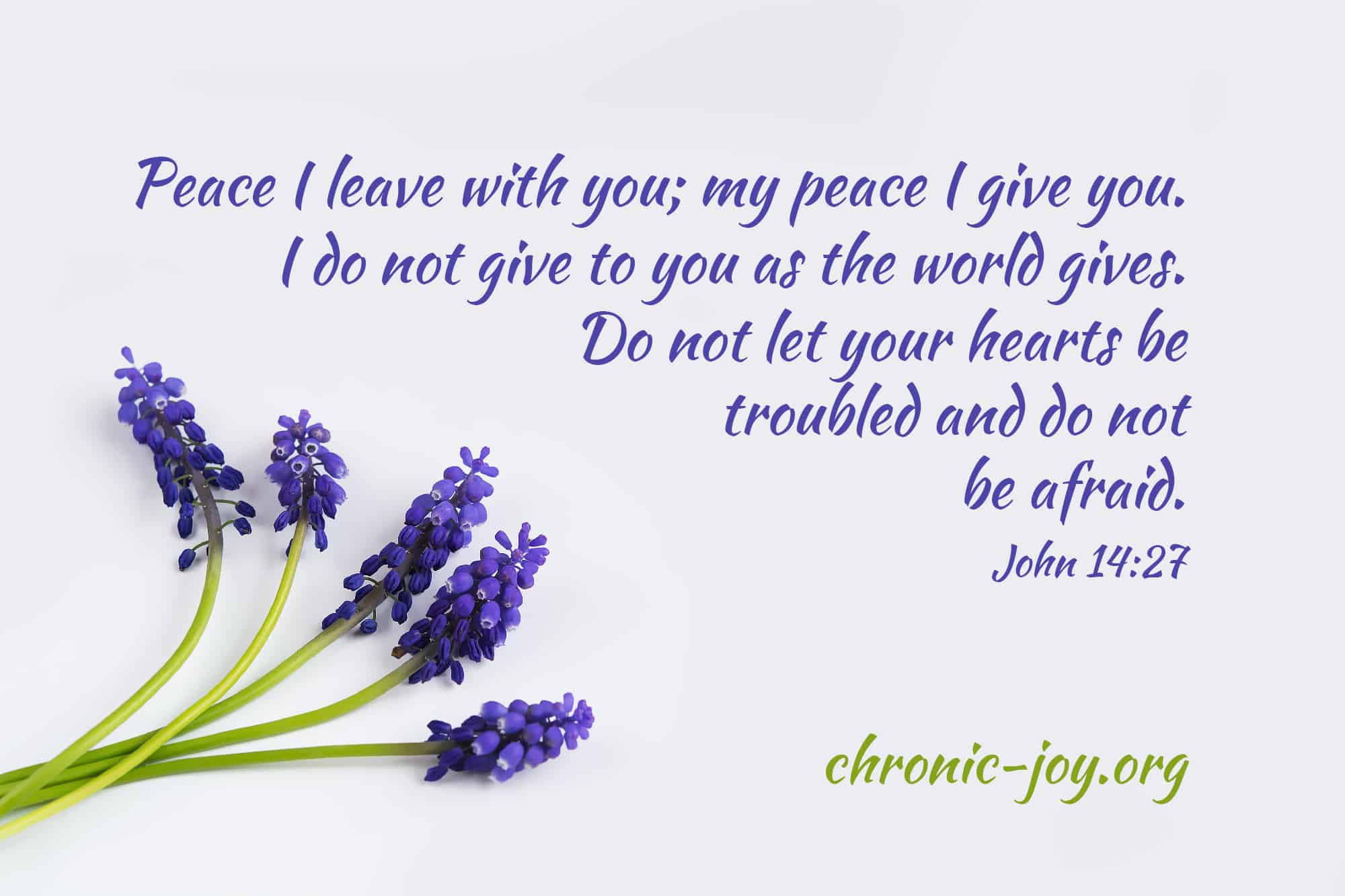 Peace I leave with you; my peace I give you.  I do not give to you as the world gives.  Do not let your hearts be  troubled and do not  be afraid.  John 14:27 