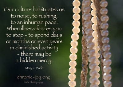 "Our culture habituates us to noise, to rushing, to an inhuman pace. When illness forces you to stop - to spend days or months or years in diminished activity - there may be a hidden mercy." Mary C. Earle