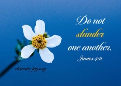 Do not slander one another. (James 4:11)
