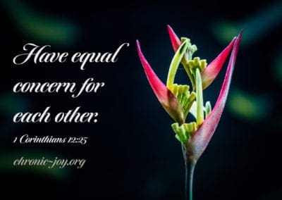 Have equal concern for each other. (1 Corinthians 12:25)