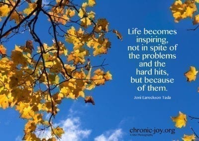 "Life becomes inspiring, not in spite of the problems and the hard hits, but because of them." Joni Eareckson Tada