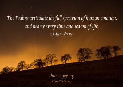 "The Psalms articulate the full spectrum of human emotion, and nearly every time and season of life." (Cindee Snider Re)