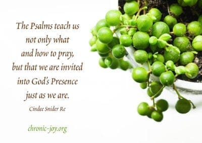 "The Psalms teach us not only what and how to pray, but that we are invited into God’s Presence just as we are." (Cindee Snider Re)