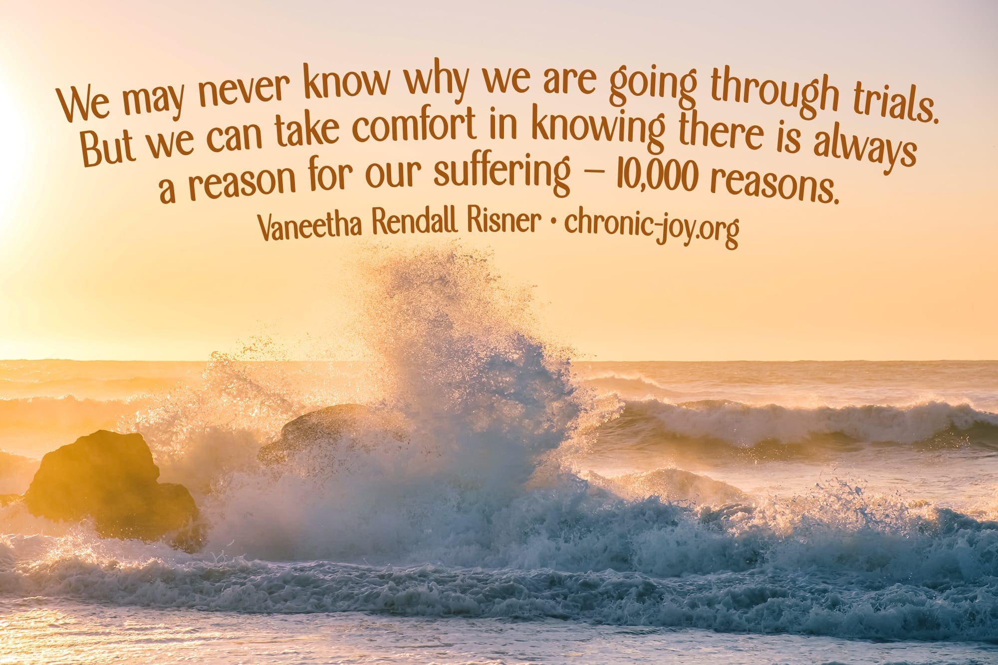 "We may never know why we are going through trials. But we can take comfort in knowing there is always a reason for our suffering — 10,000 reasons." Vaneetha Rendall Risner