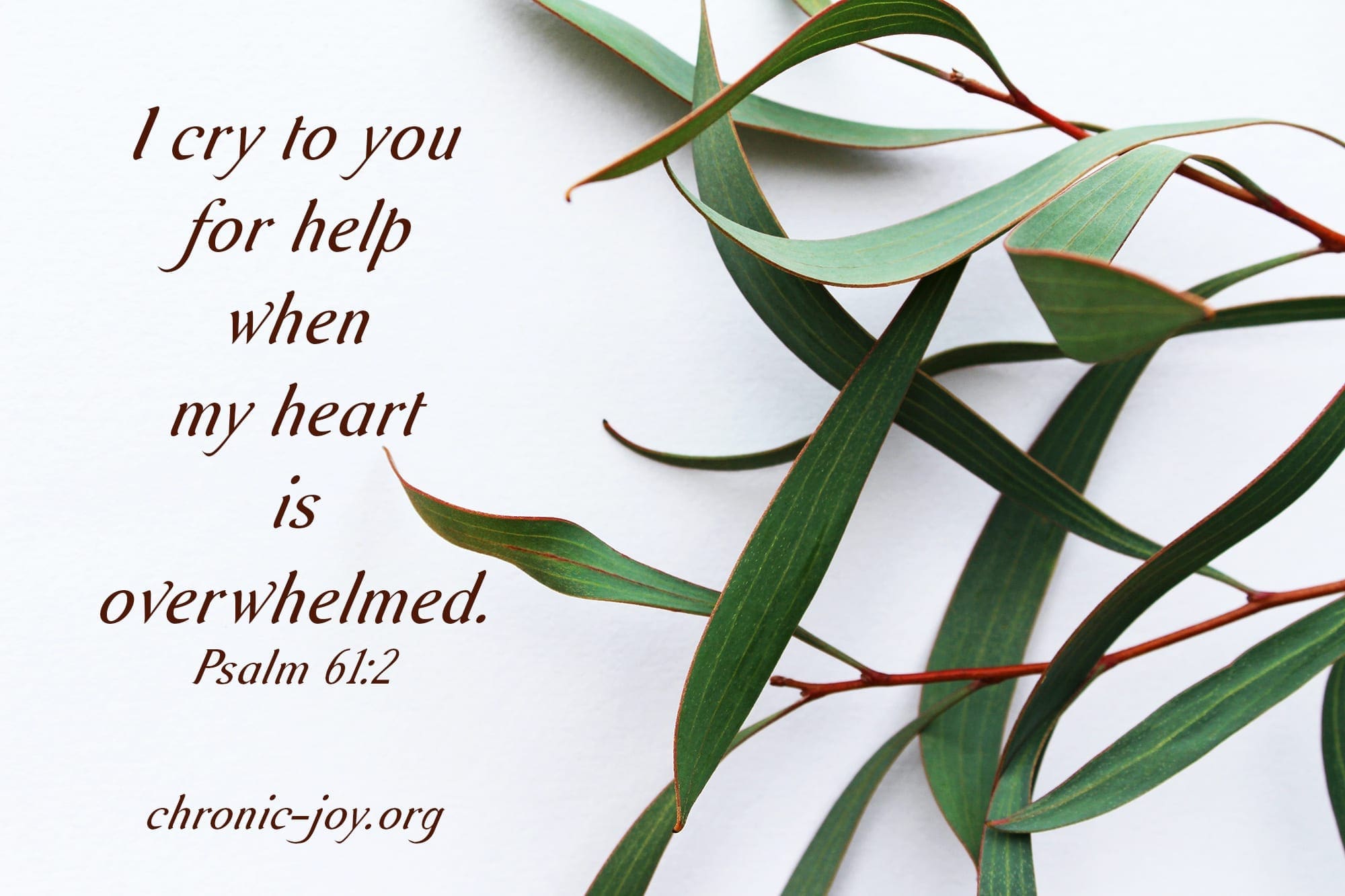 "I cry to you for help when my heart is overwhelmed." Psalm 61:2